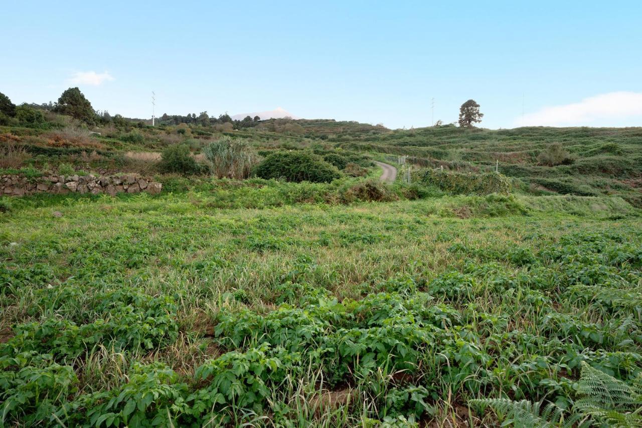El Nogal Villa San Juan de la Rambla Luaran gambar